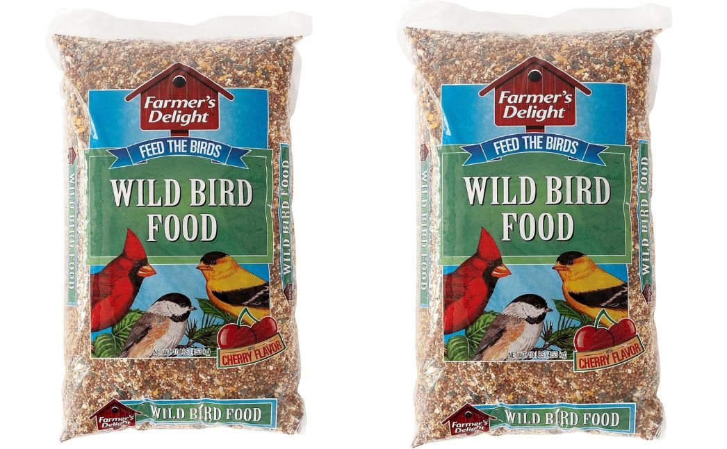 wild bird food