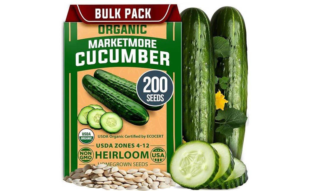 heirloom organic cucumber seeds