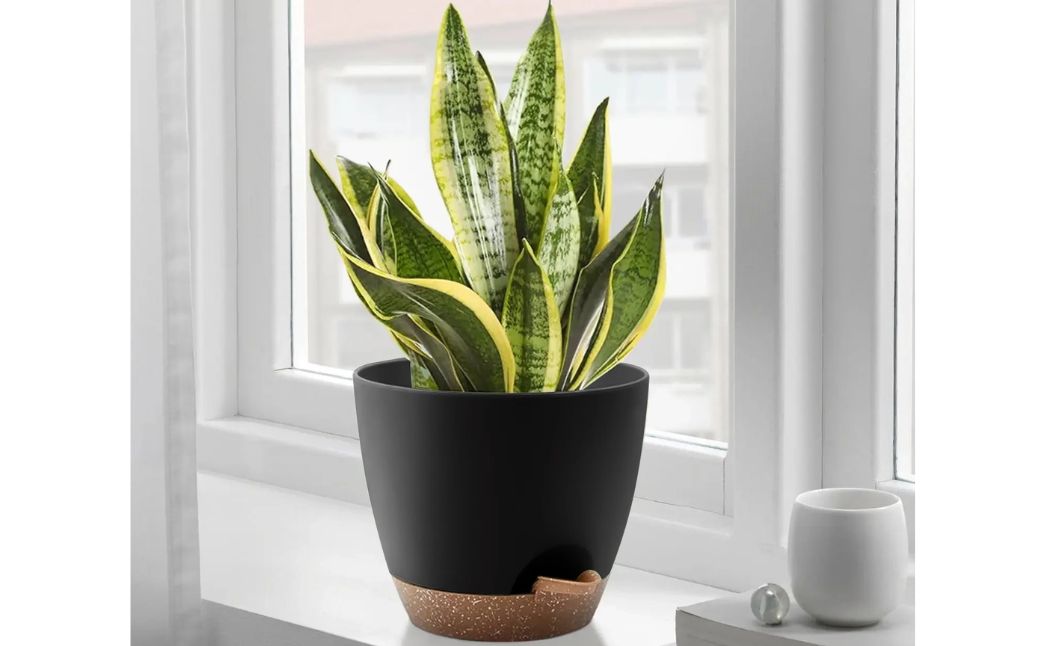 self watering planters