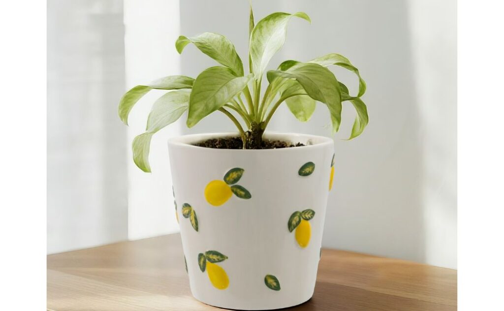 lemon ceramic planter