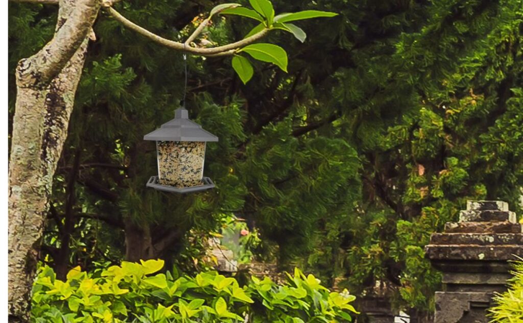 bird feeder