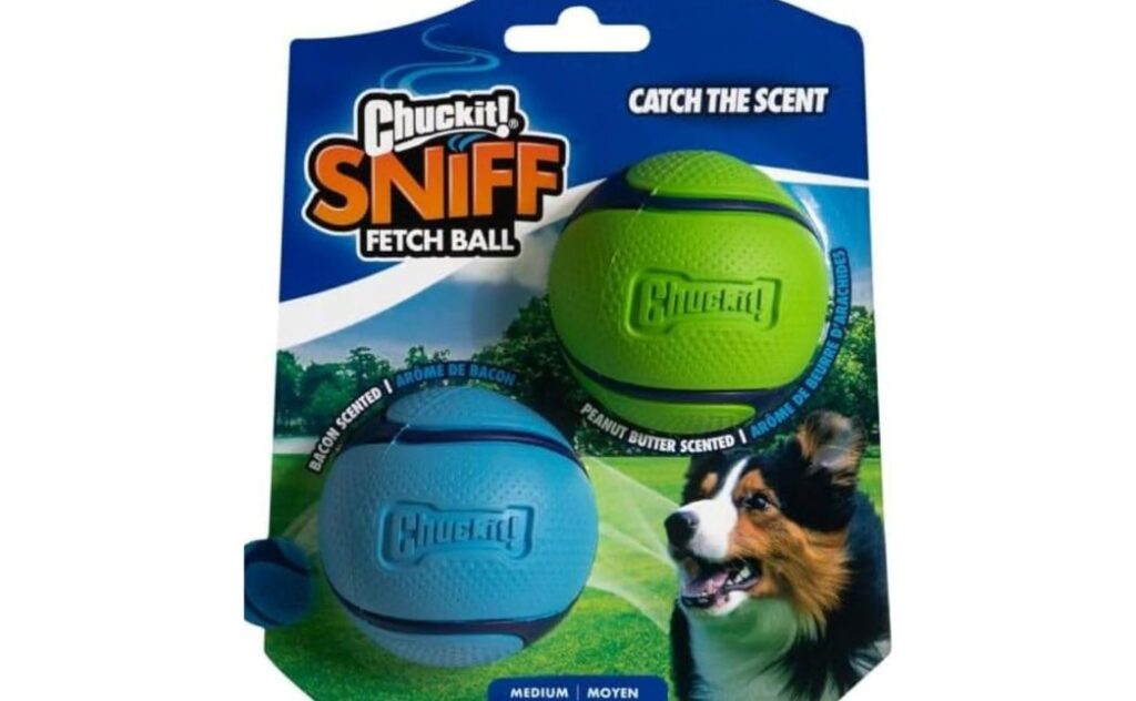 chuck it sniff fetch ball